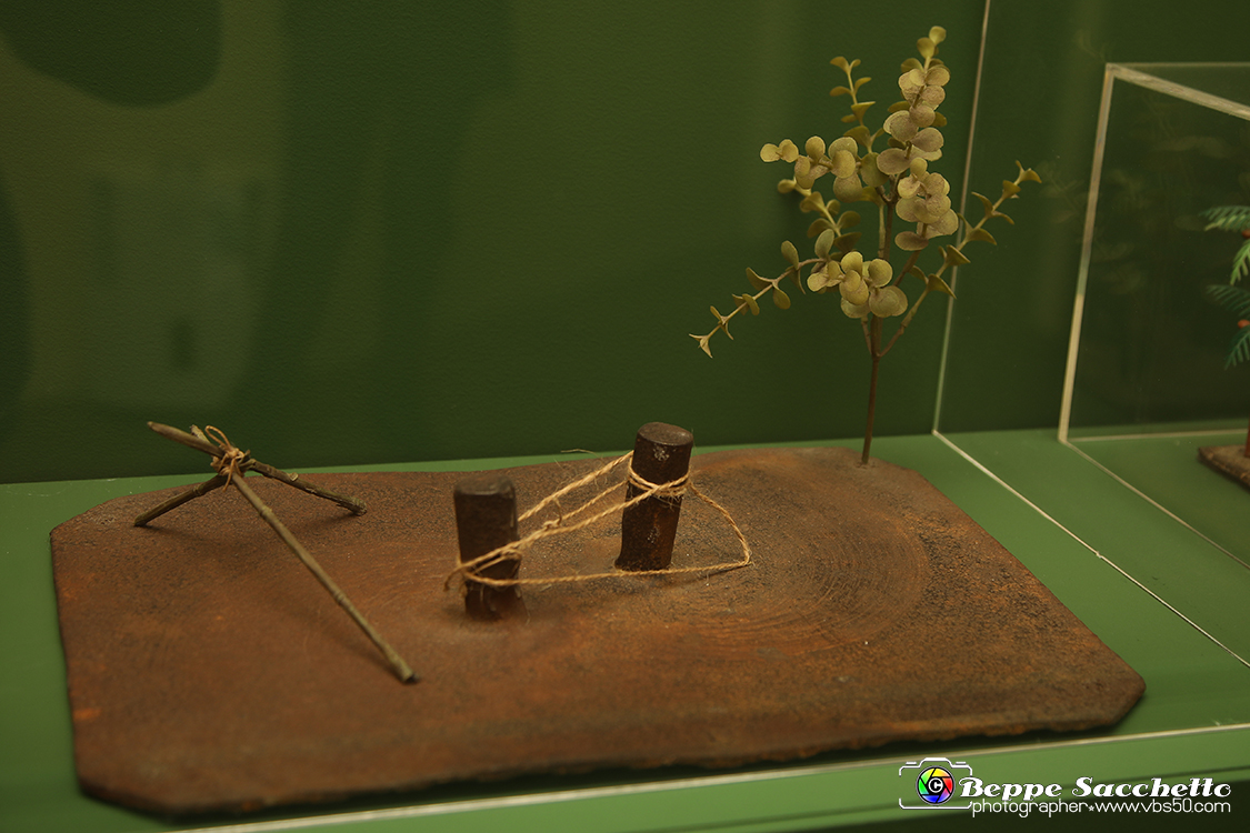 VBS_1432 - Castello di Miradolo - Mostra Oltre il giardino l'Abbecedario di paolo Pejrone.jpg